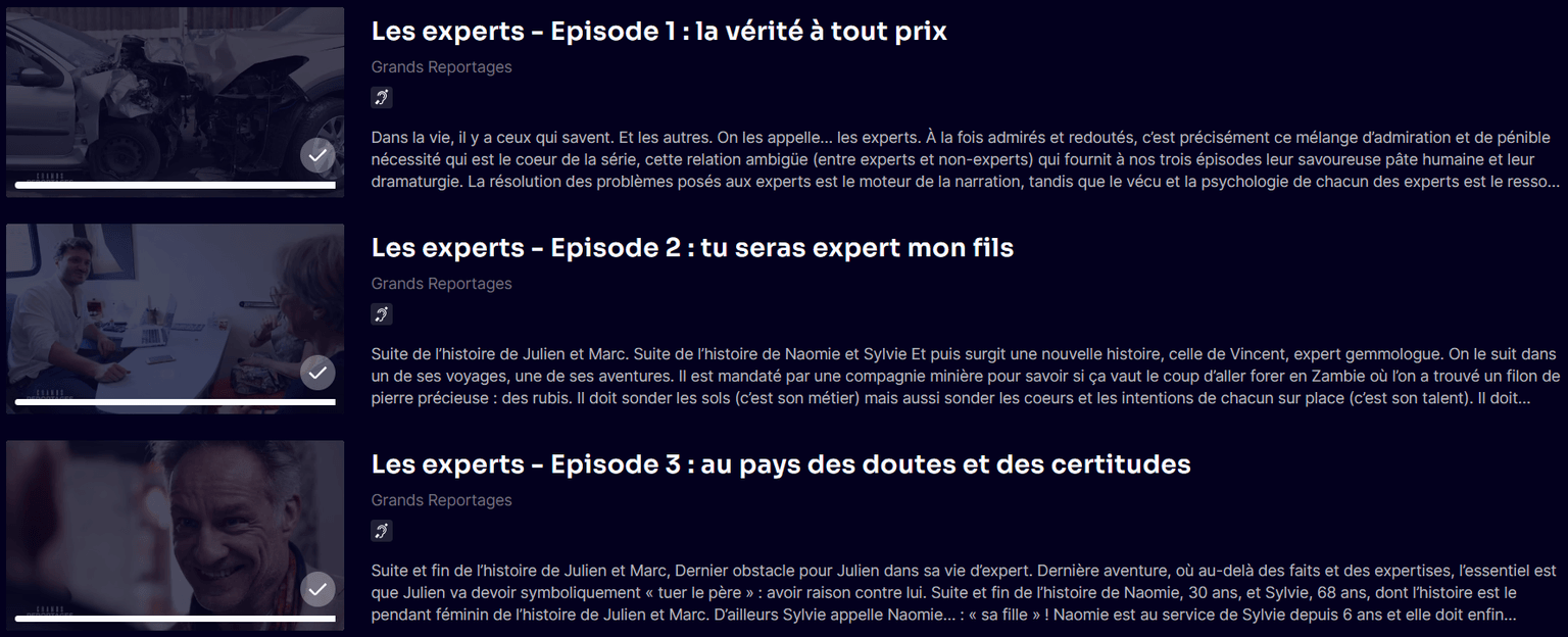 Reportages TF1 (3).png